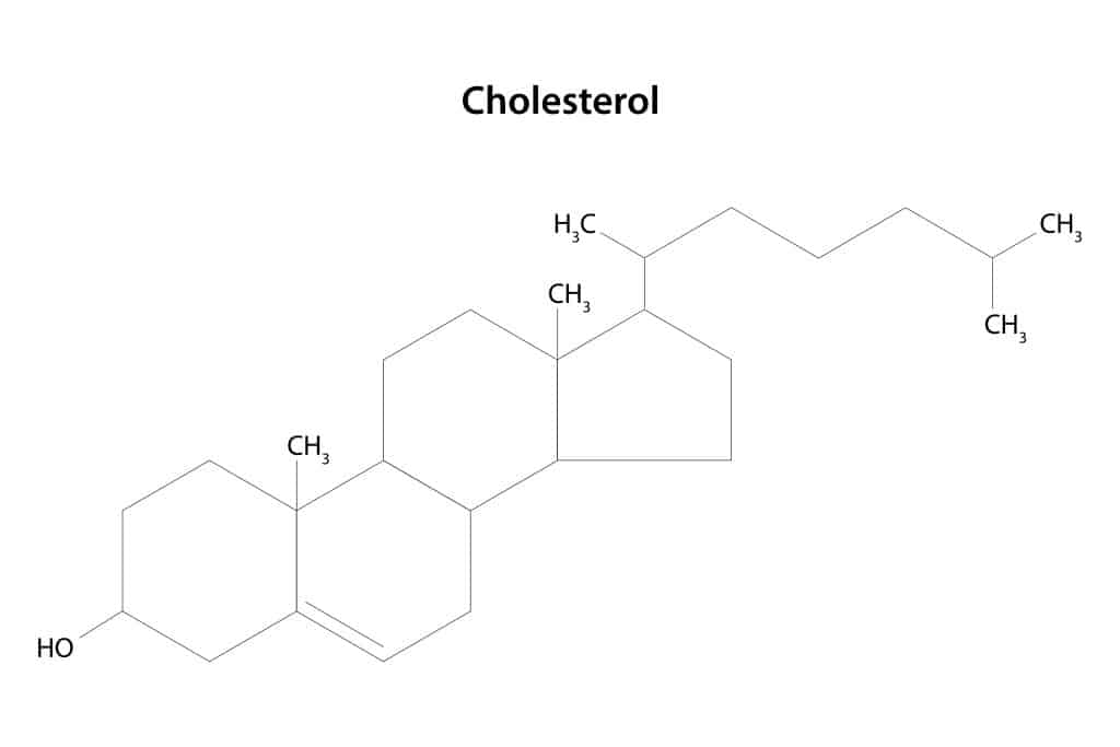 cholesterol