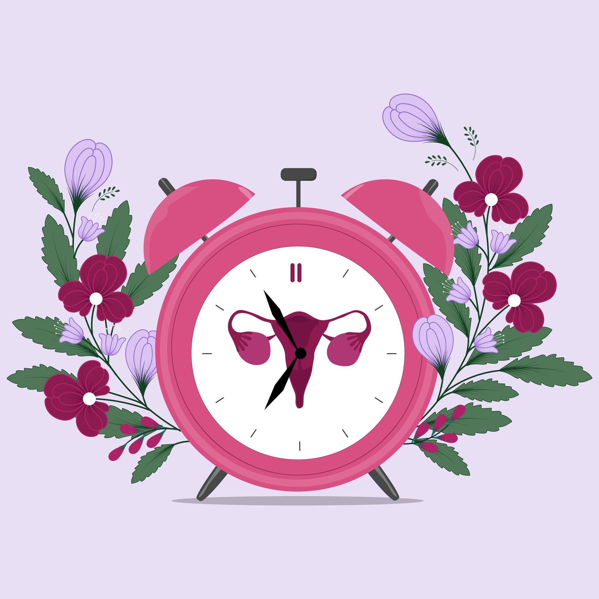 menstrual clock