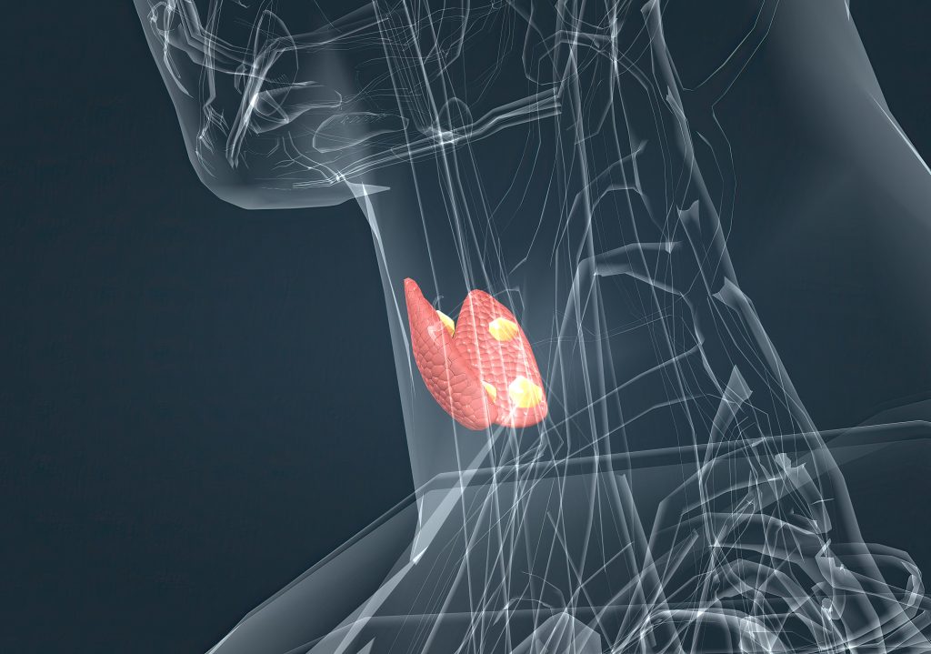 semaglutide thyroid gland