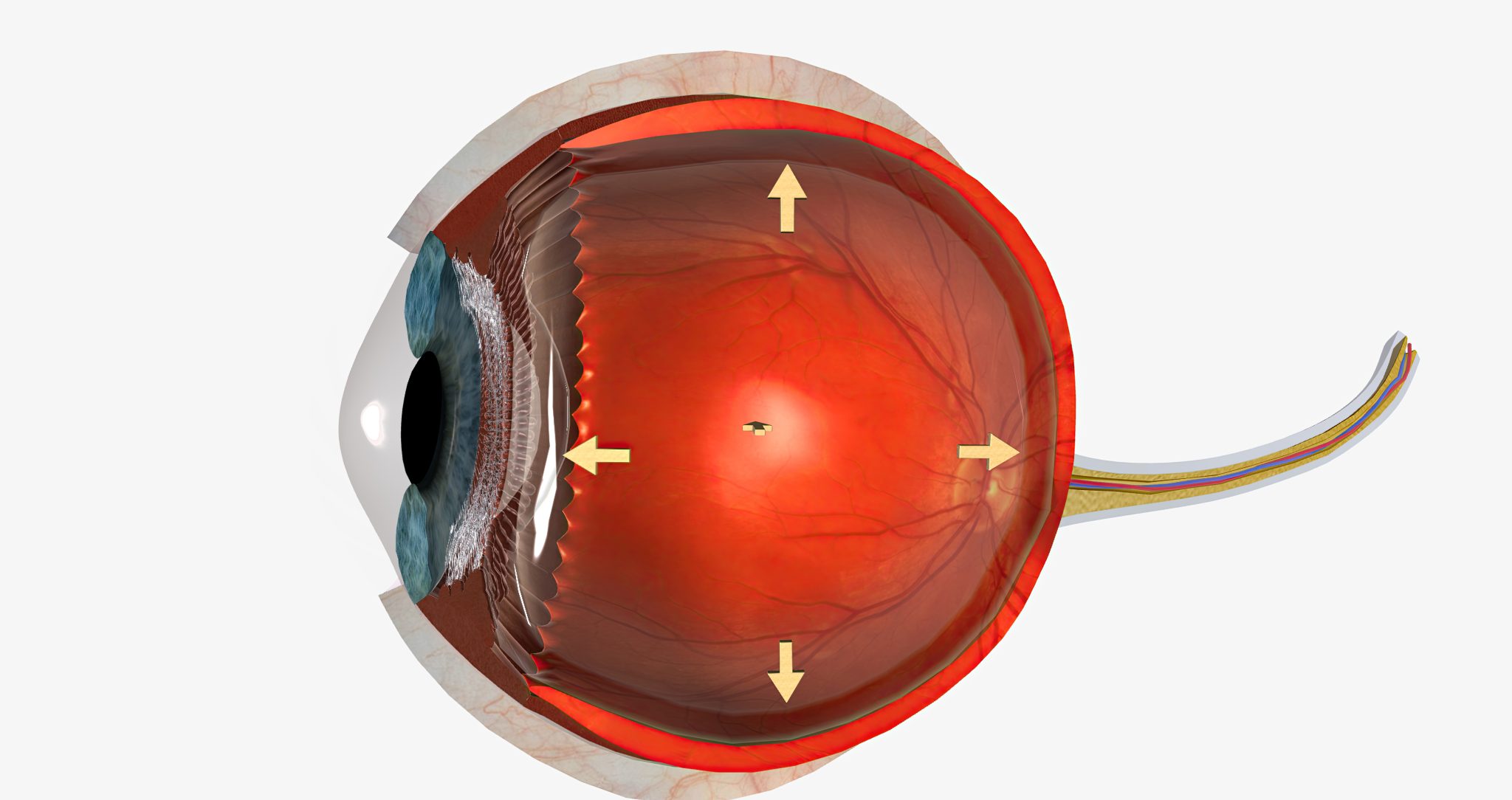 semaglutide and retinopathy 4