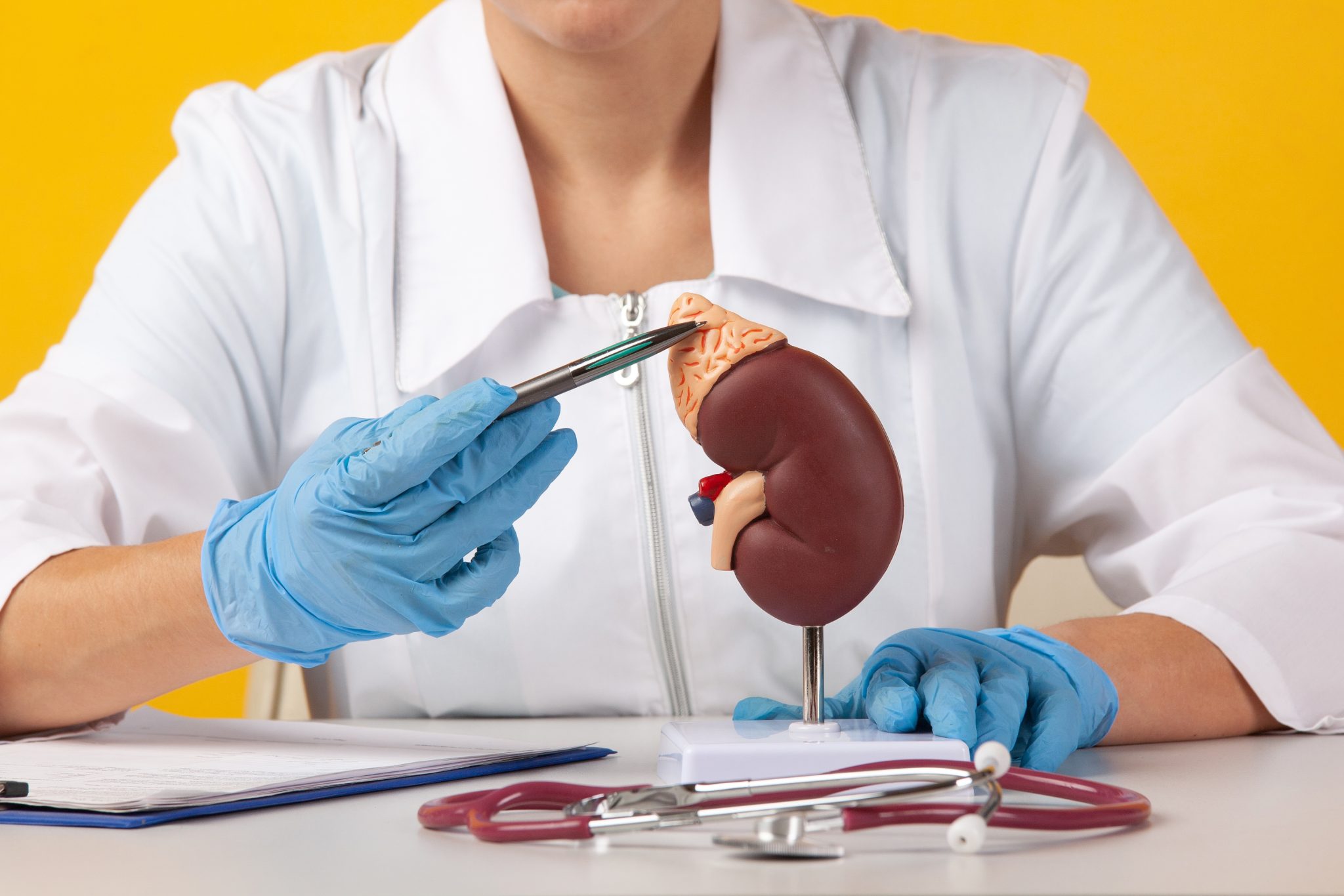 semaglutide and chronic kidney disease 4