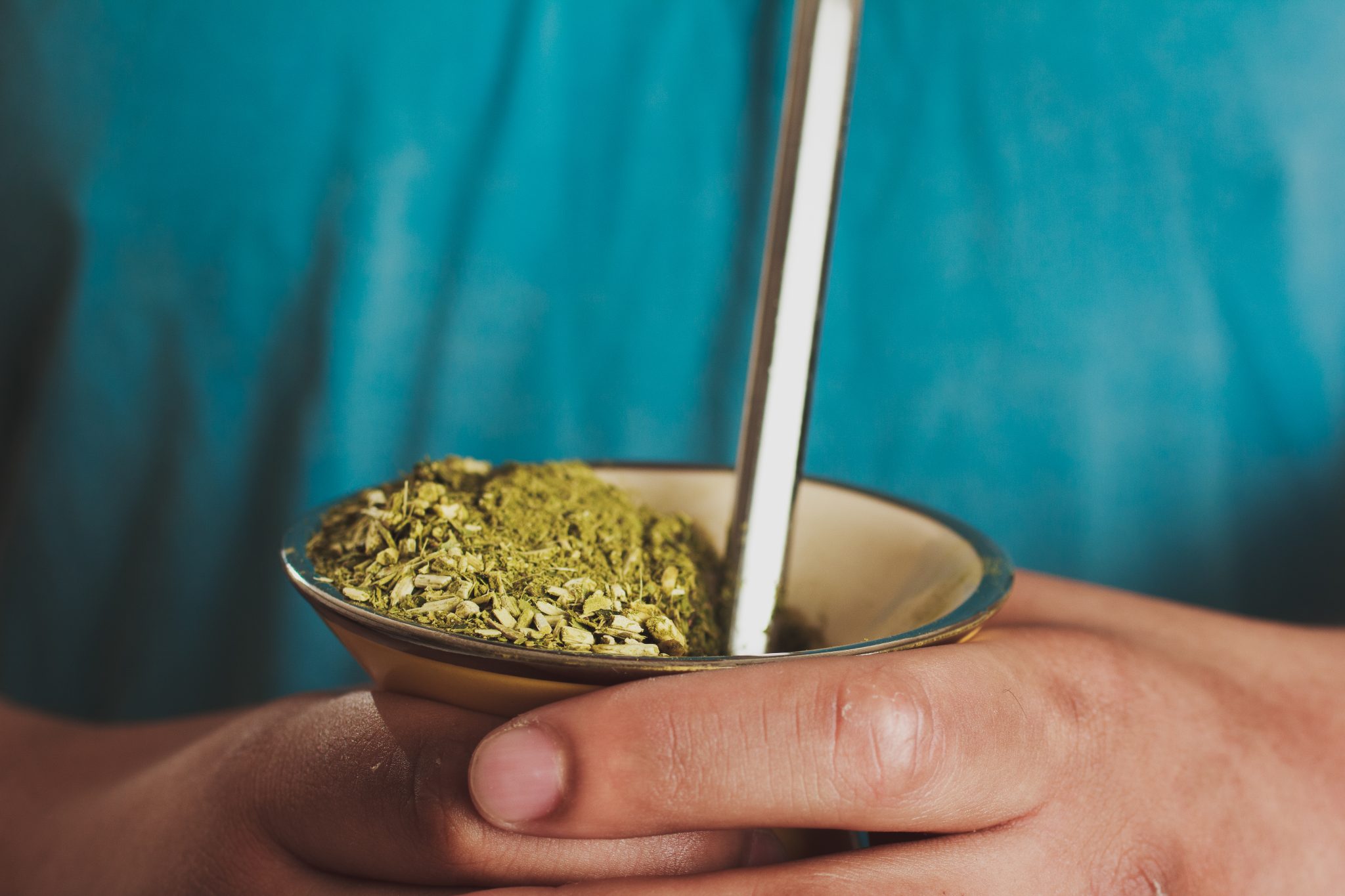 semaglutide yerba mate 2