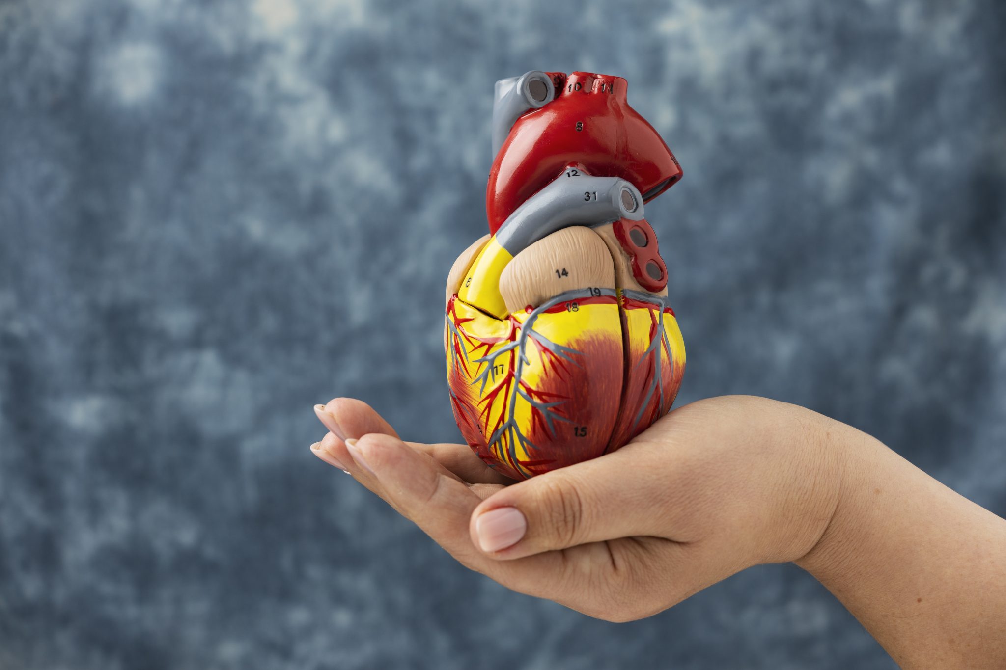 Coronary Artery Disease (Heart Disease) and semaglutide 4