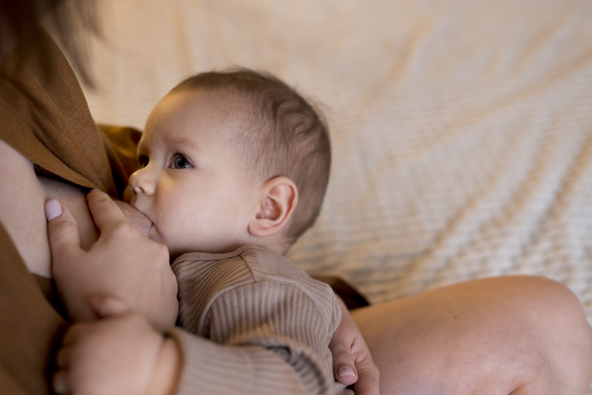 tirzepatide breastfeeding 2