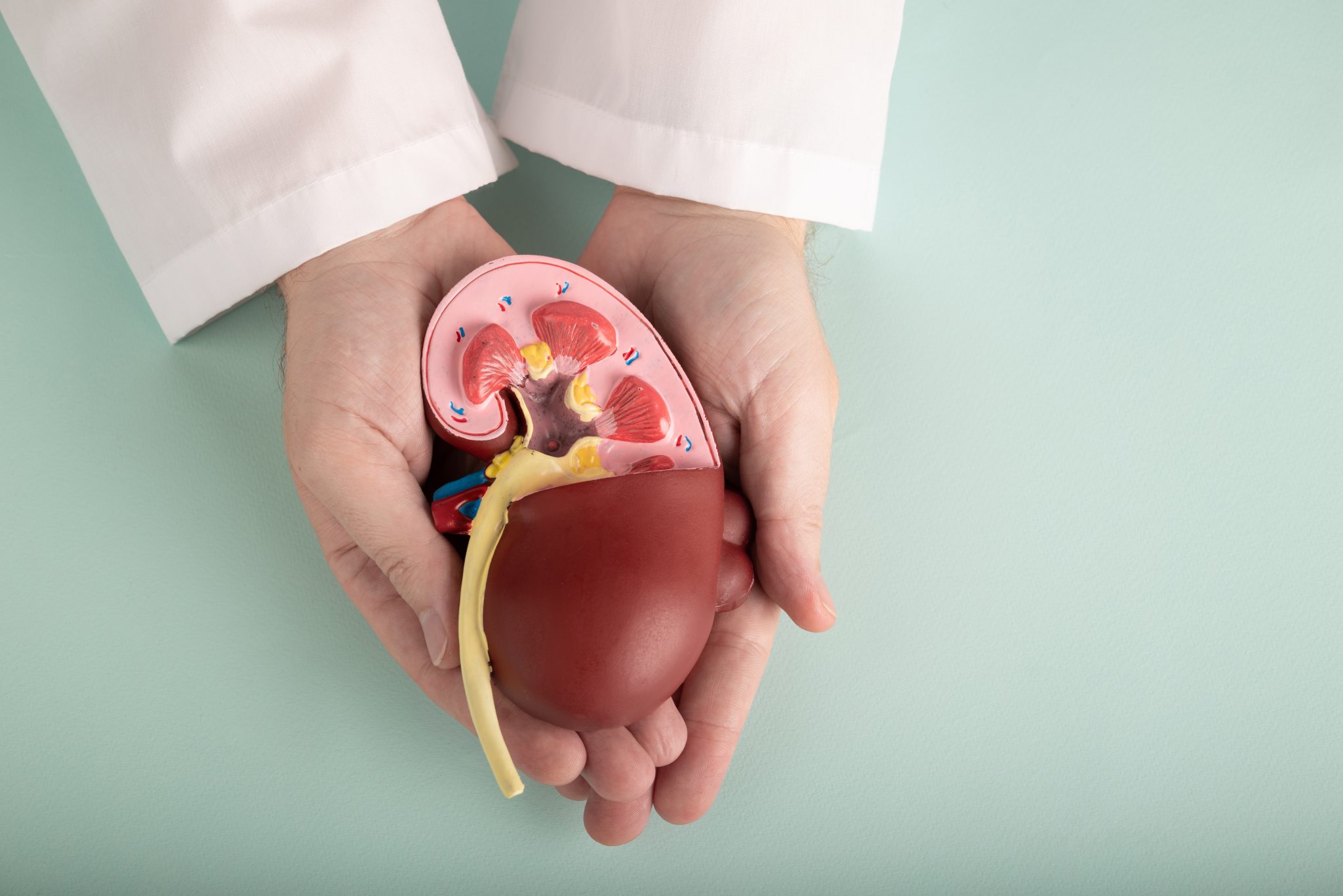 semaglutide and kidney transplant 2