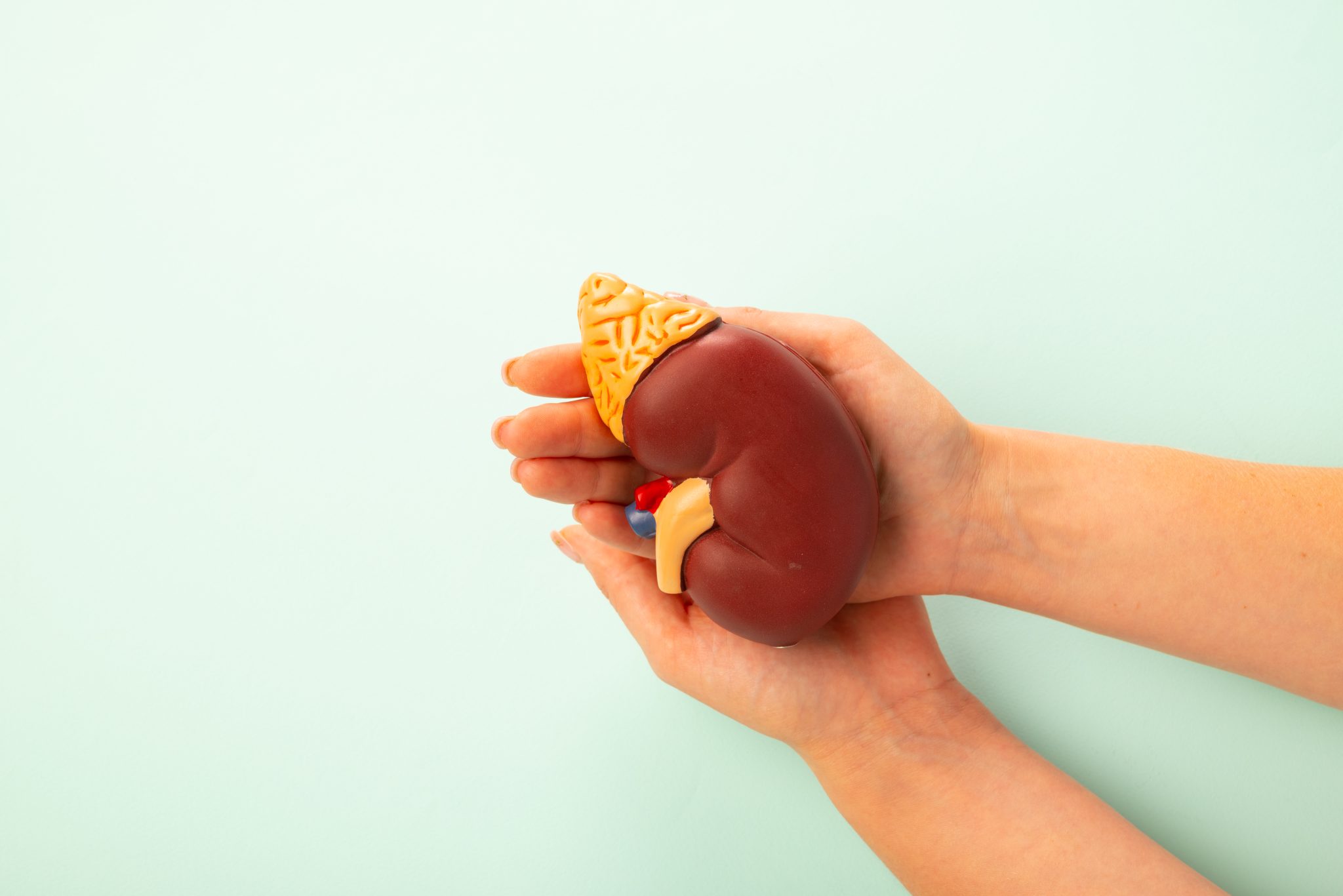 semaglutide and kidney transplant 3
