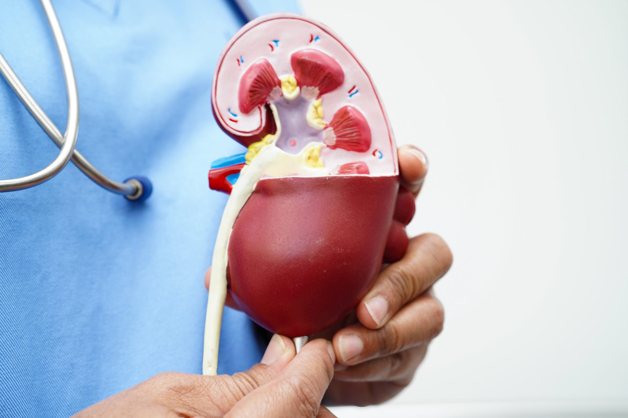 tirzepatide kidney 1