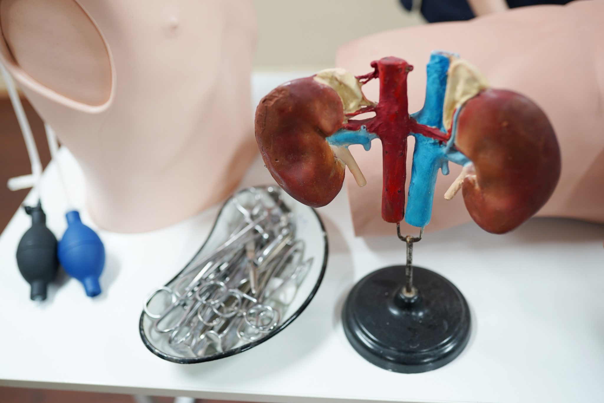 tirzepatide kidney 2
