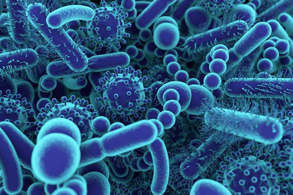 semaglutide and microbiomes 1