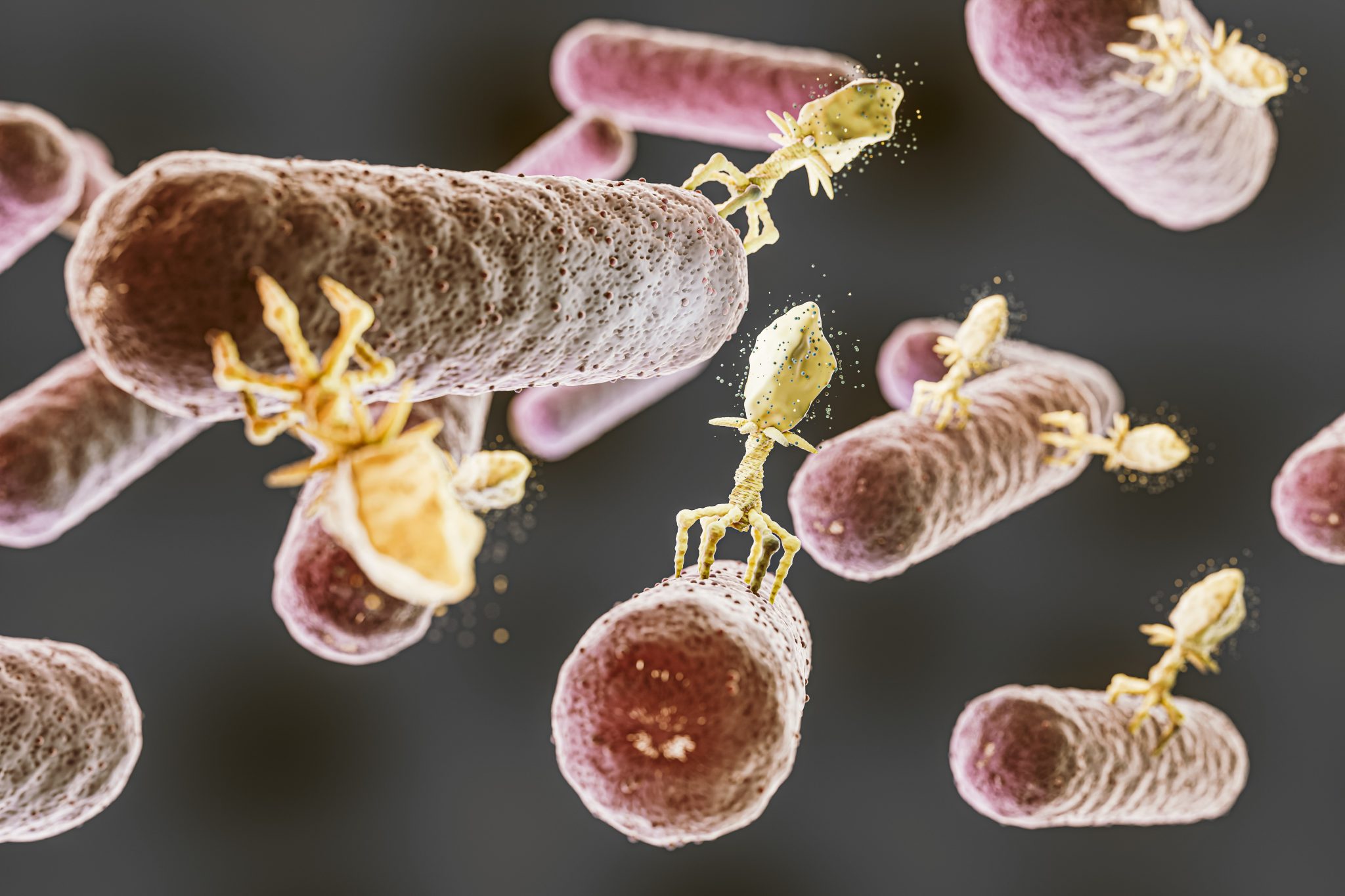 semaglutide and microbiomes 3