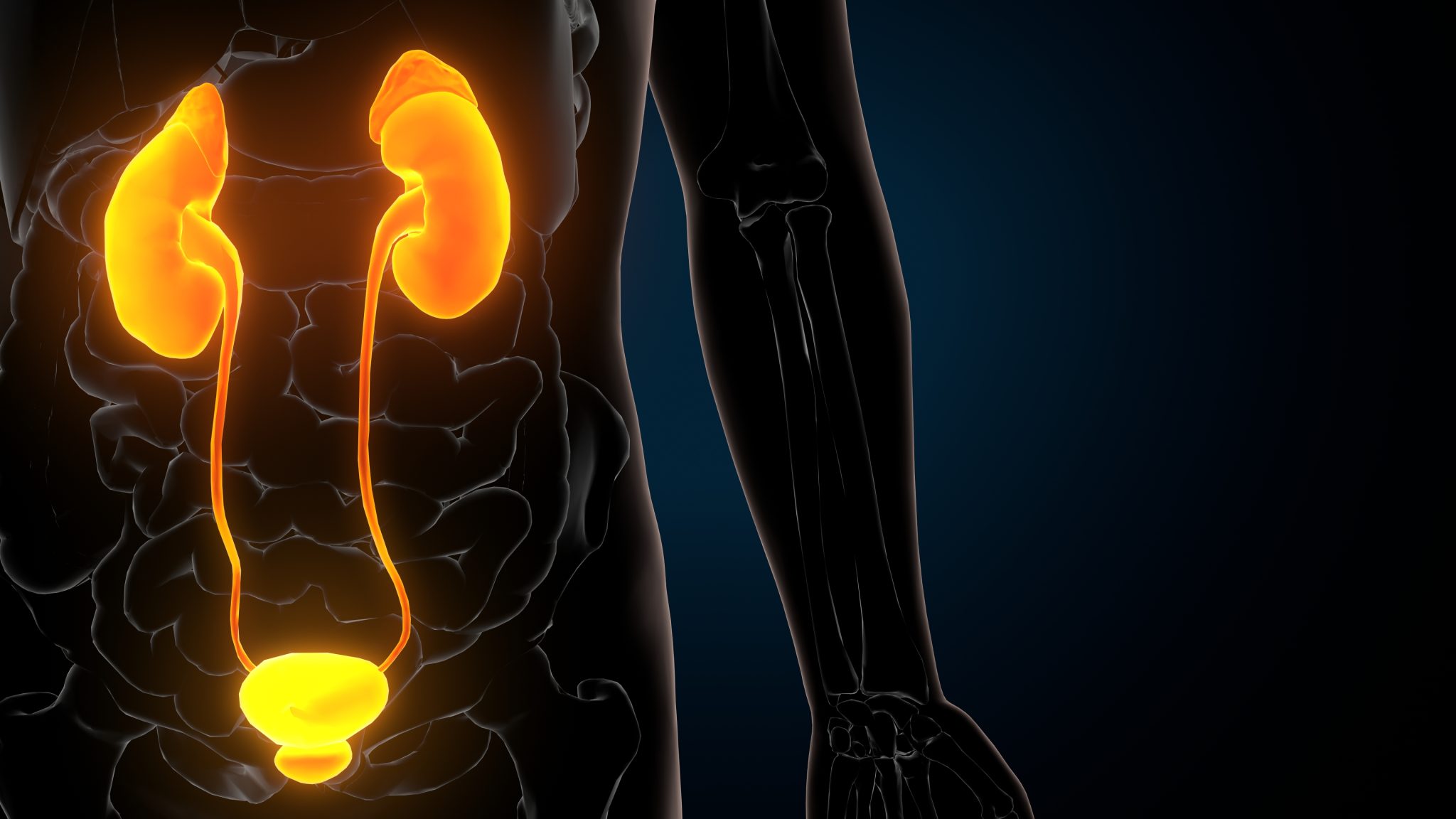 tirzepatide kidney 1