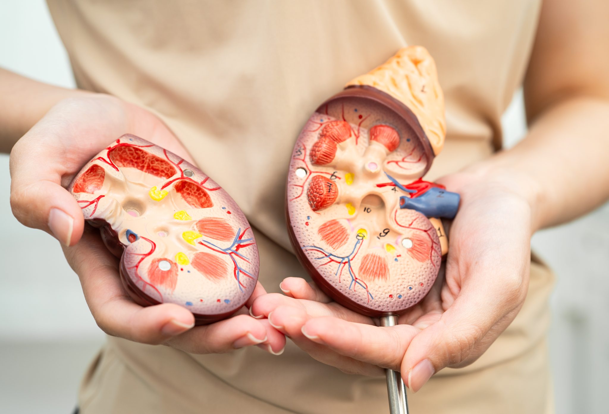 tirzepatide kidney 2