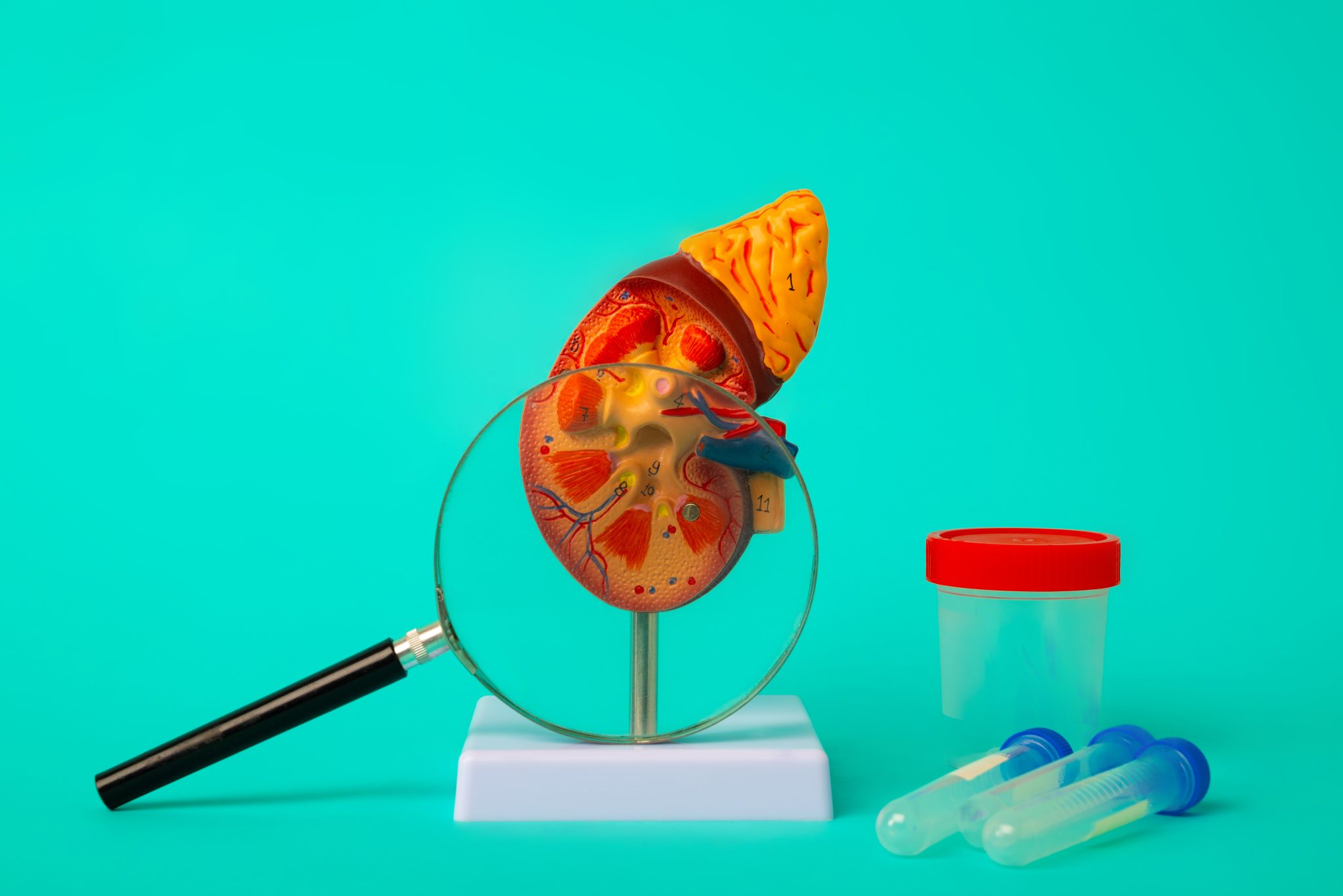 tirzepatide side effects kidney 2