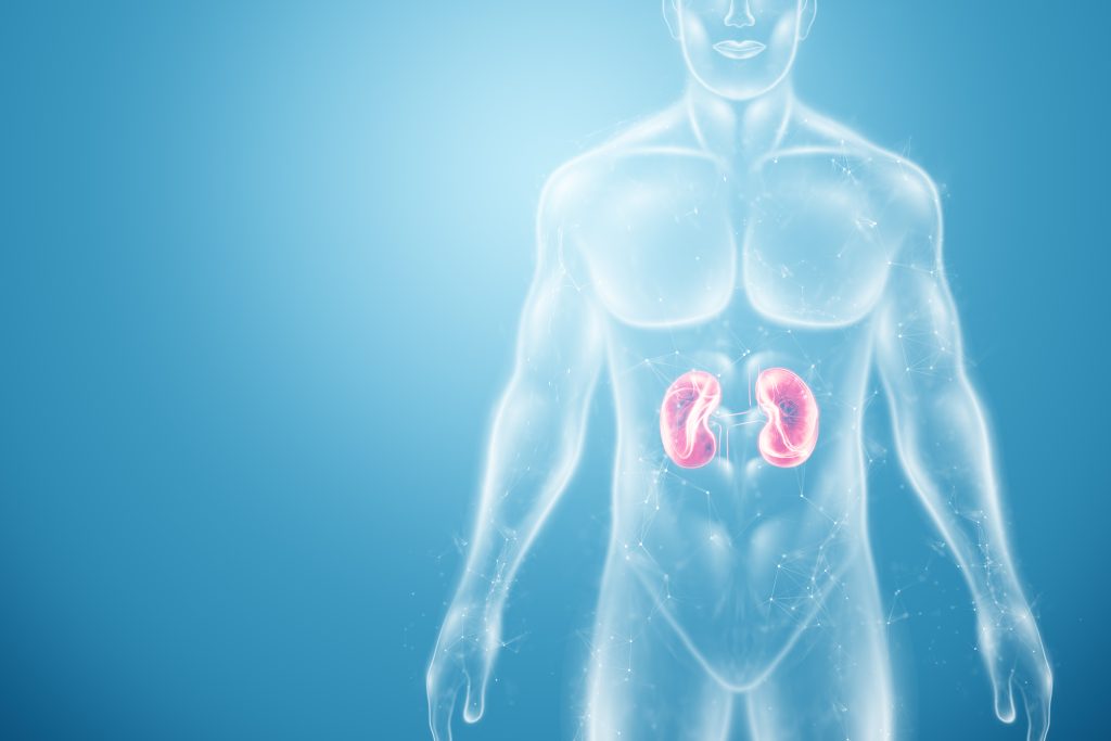 tirzepatide effects on kidneys 1