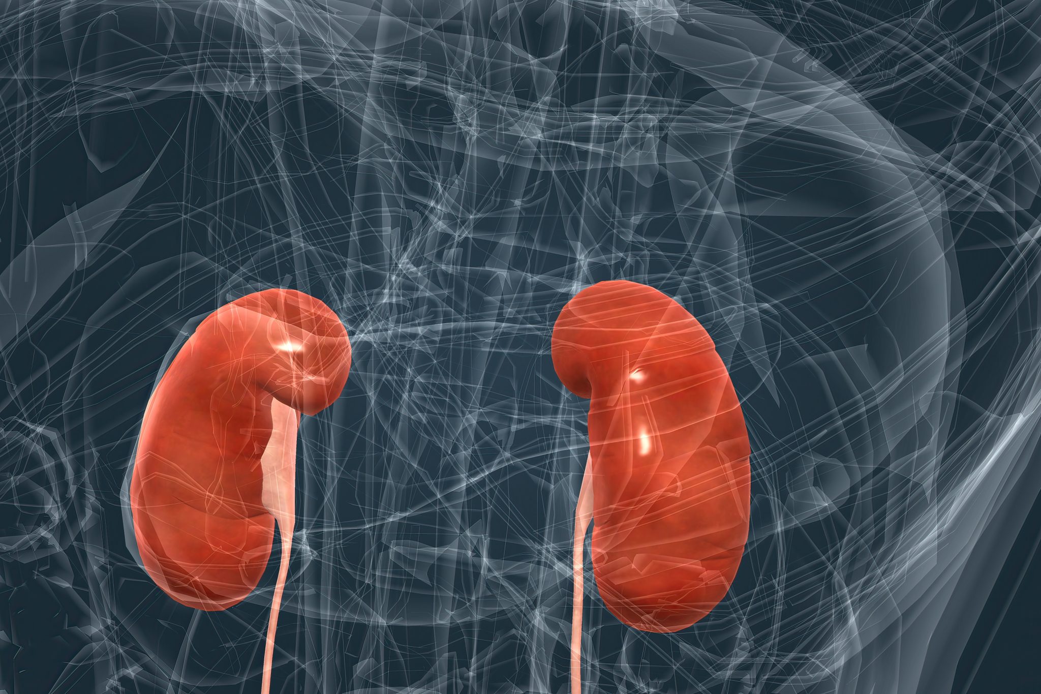 tirzepatide effects on kidneys 3