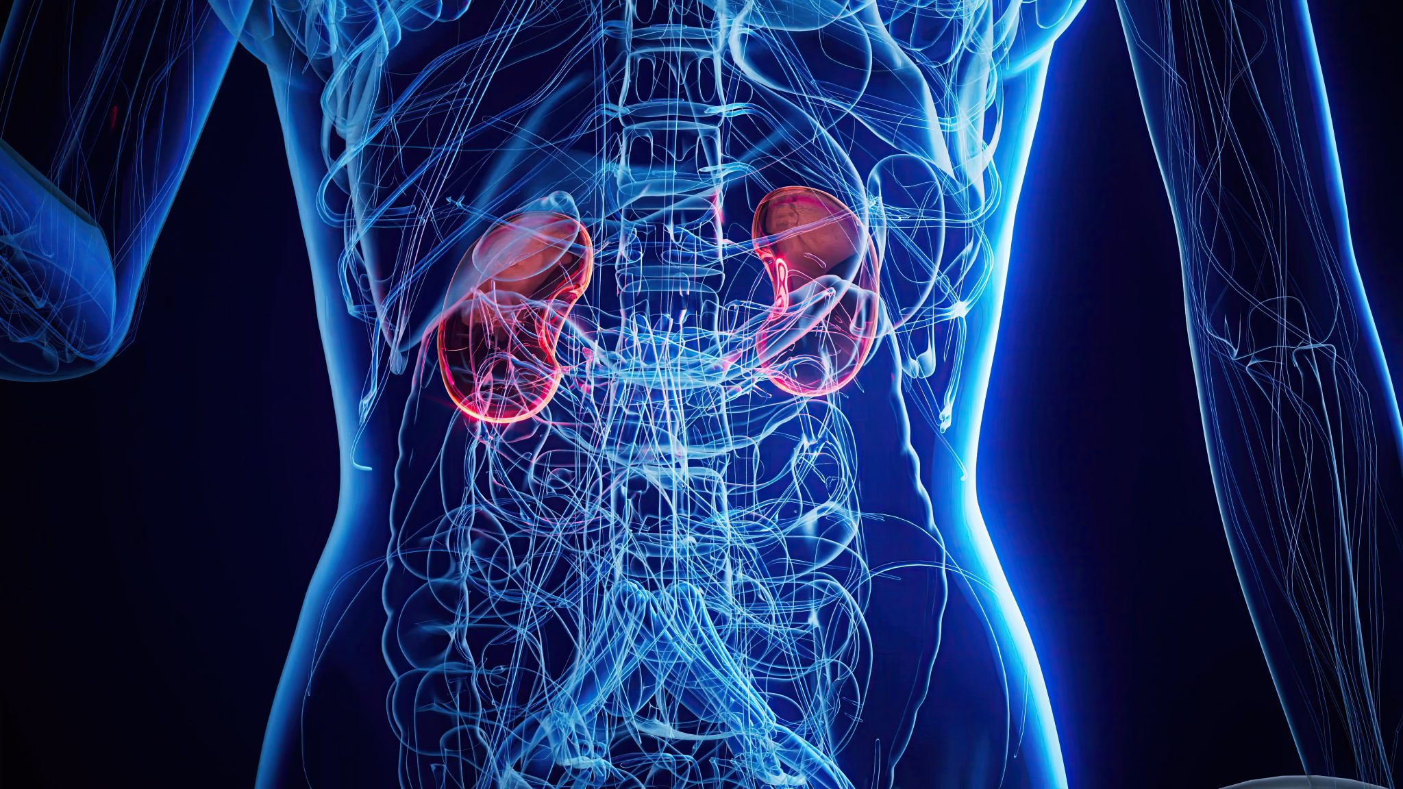 tirzepatide effects on kidneys 4